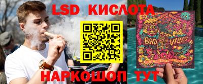 герыч Кингисепп