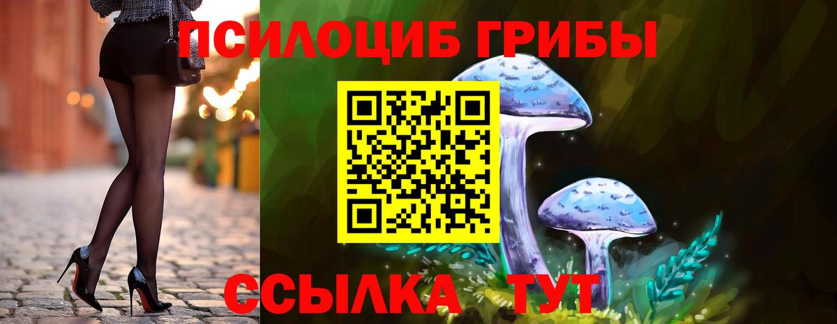 Галлюциногенные грибы Psilocybe  Вход с VPN  Элиста 